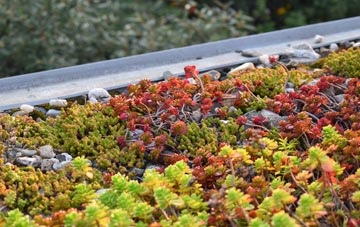 the cost of Congham green roof installation