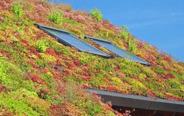 Congham living roof systems
